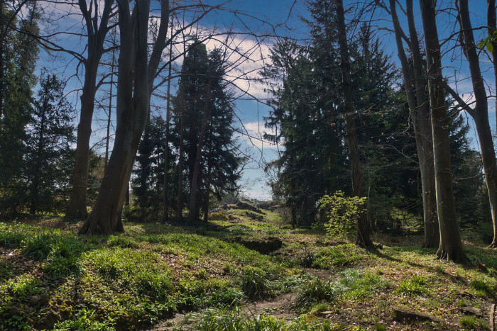 Mit Luminar Neo haben wir mit wenigen Klicks einen neuen eingebaut - die Äste im oberen Bereich sind allerdings für die KI schwierig. (Bild: Tobias Költzsch/Golem.de)